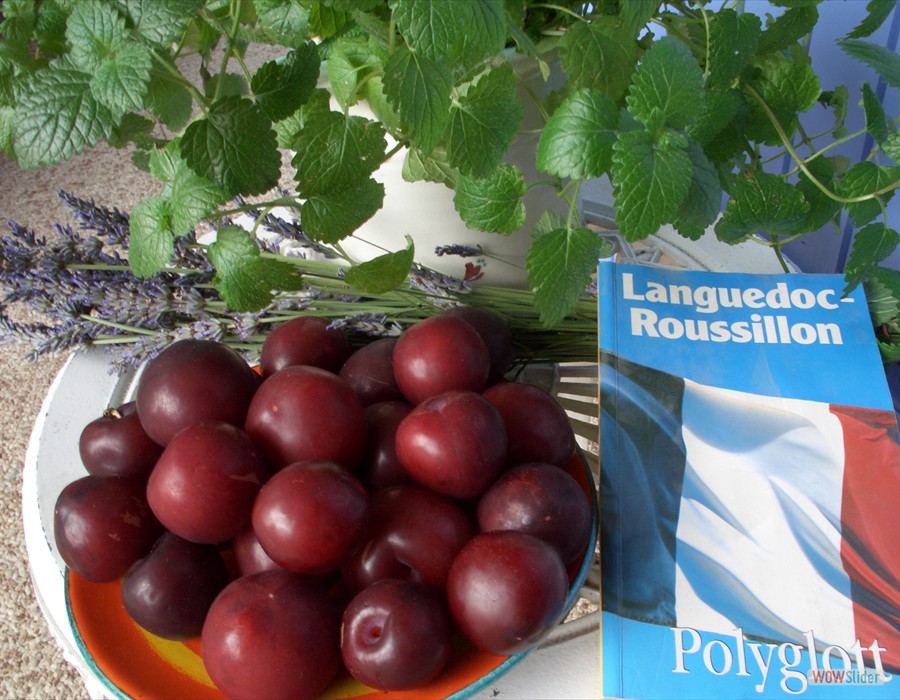 Frisches Obst Frisches Obst