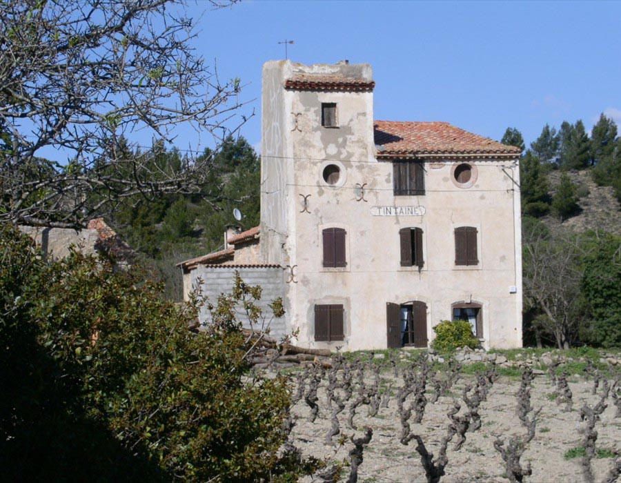 In den Weinbergen In den Weinbergen