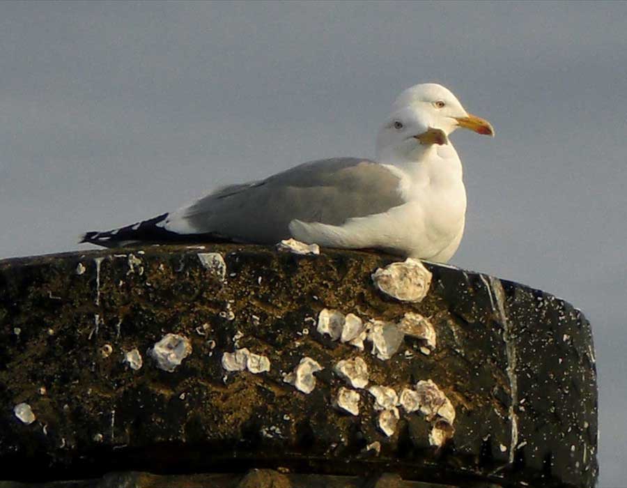 ...zufrieden in der Februarsonne - und Sie? ...zufrieden in der Februarsonne - und Sie?